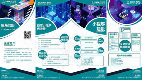 新乡望海企业全网营销套餐 互联网推广 望海网络