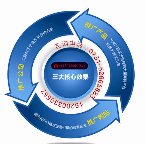 湘潭企业网站优化,网络推广公司,湖南星亮广告传媒