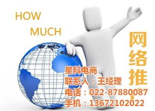 网站优化网 星科电商 工业品 网站优化服务 天津