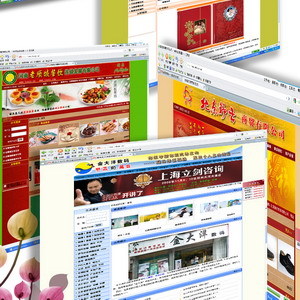 企业网站seo静牌子好不好 哪款好评价