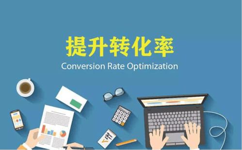 忠魁互联运营案例分析