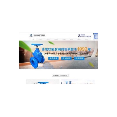 网站建设推广,企业网站搭建,网站优化推广